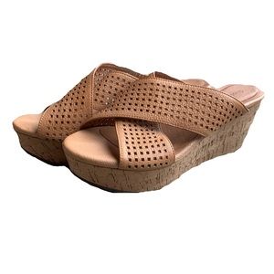 Chocolate Blu Wedges Size 6.5 (US)